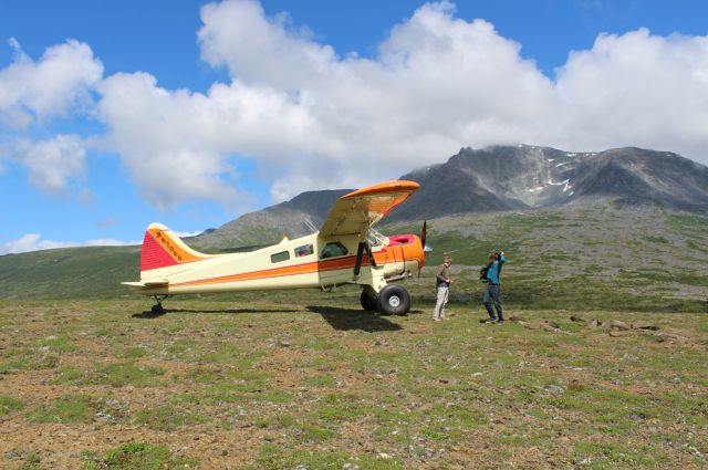 De Havilland Canada DHC-2 Mk1 Beaver (N67066) - Beaver on 35” Bushwheels, 20 miles east of Kokhanok AK.