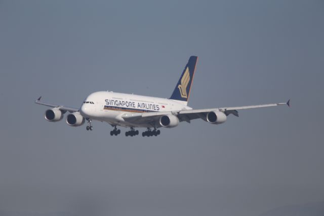 Airbus A380-800 (9V-SKS)