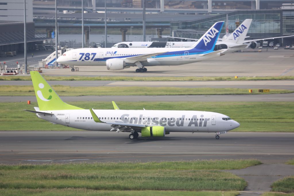 Boeing 737-800 (JA806X)