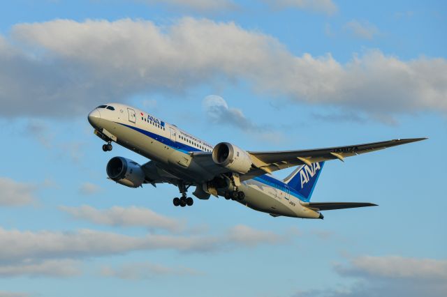 Boeing 787-8 (JA817A) - 2022.11.5 NH32 ITM→HND