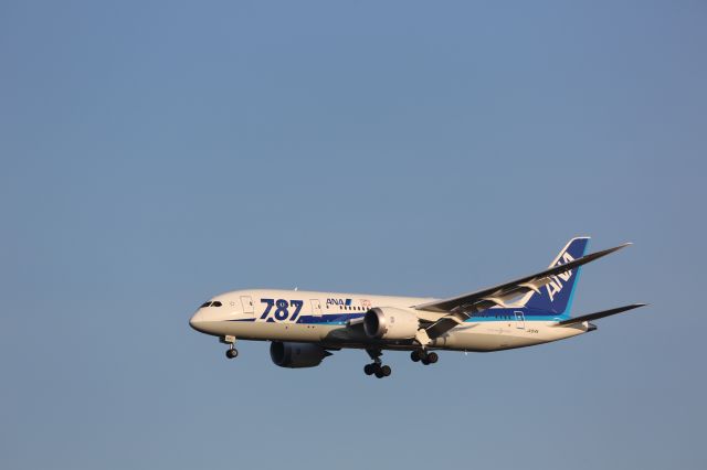 Boeing 787-8 (JA814A)