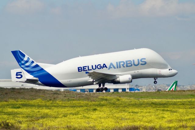 SATIC Super Transporter (F-GSTF) - Airbus Beluga 5 taking off from LGAV runway 03R