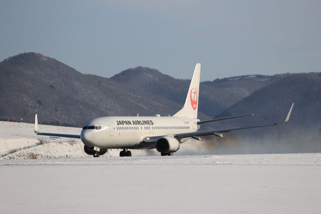 Boeing 737-800 (JA328J) - December 27th 2020:HKD-HND.