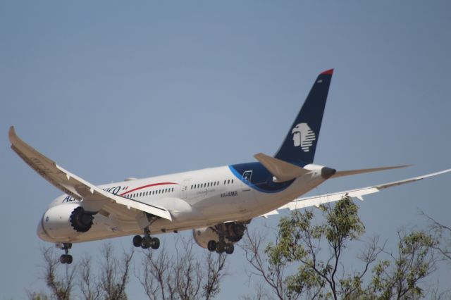Boeing 787-8 (XA-AMR) - FINAL APPROACH 27 MMTJ