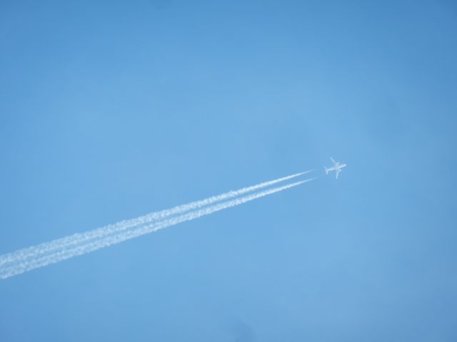 Airbus A319 (N825AW) - An American Airlines Airbus A319 Flies Over My Home