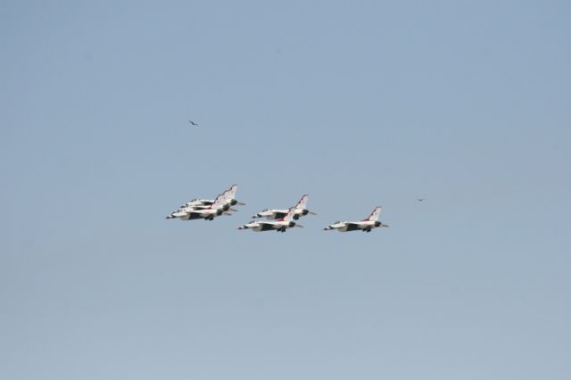 — — - U.S. Air Force Thunderbirds.There are 8 birds in this pic.