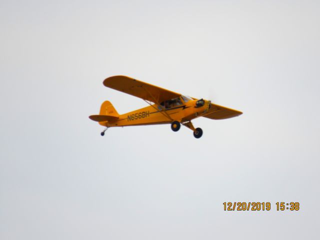 Piper L-21 Super Cub (N656BH)