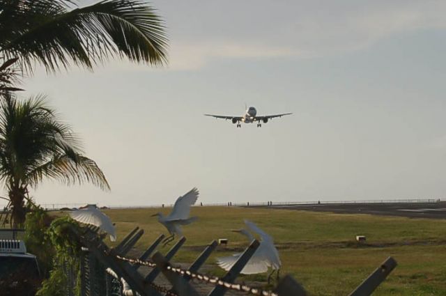 Boeing 757-200 —