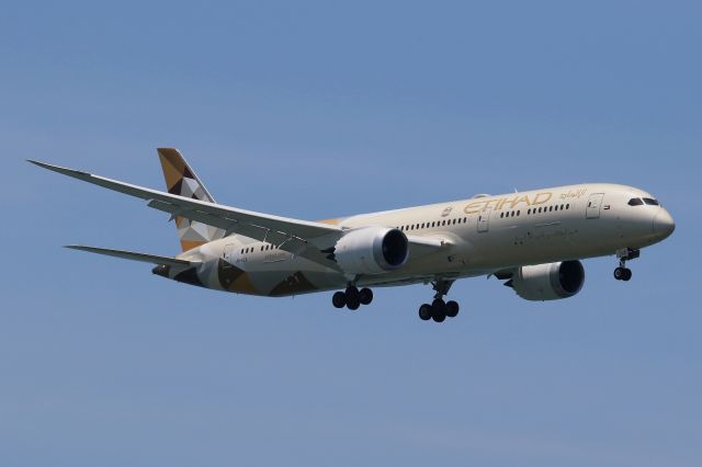 Boeing 787-9 Dreamliner (A6-BLX)