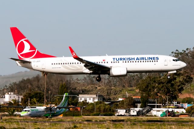 Boeing 737-800 (TC-JVY)