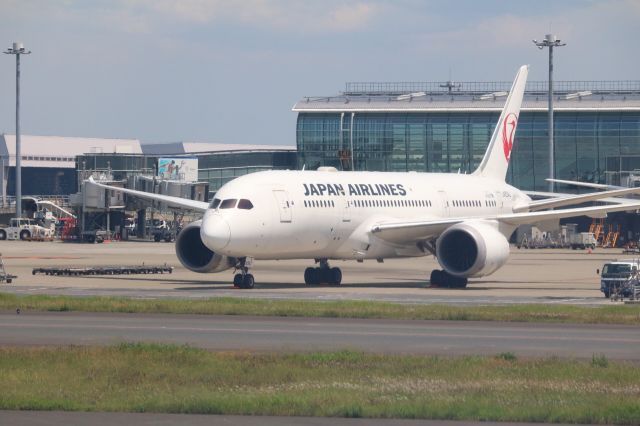 Boeing 787-8 (JA834J) - Inside Delta One, captured JAL B788 sitting on the ramp