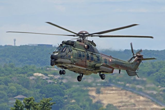 Eurocopter Super Puma (EC-225) (HA7205) - SkU8