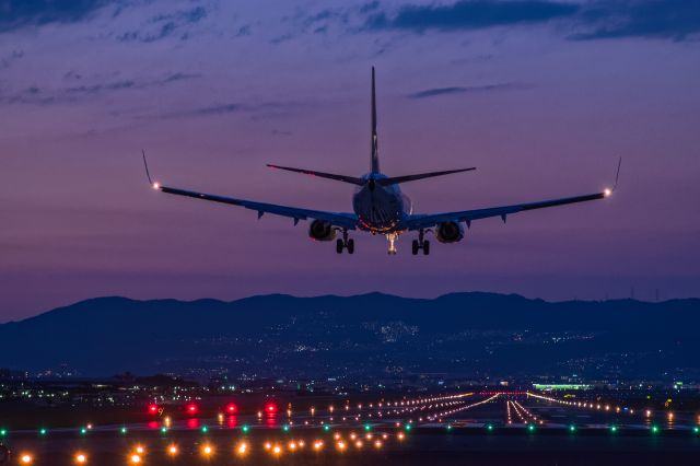 Boeing 737-800 (JA51AN)