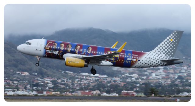 Airbus A320 (EC-MER)