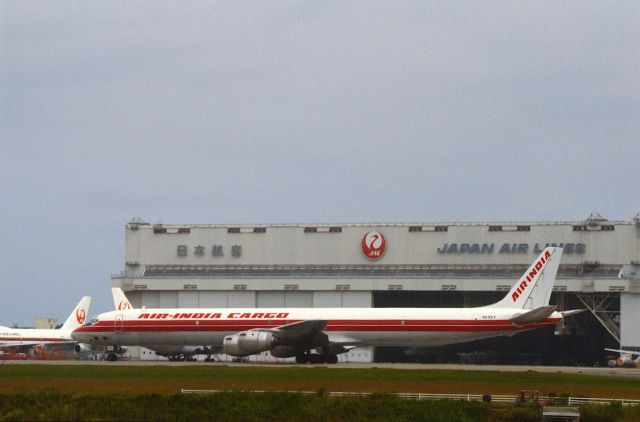 McDonnell Douglas DC-8-70 (N816EV) - Departure at Narita Intl Airport Rwy34 on 1986/10/10