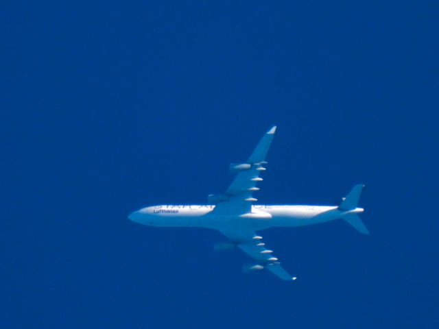 Airbus A340-300 (D-AIGP)
