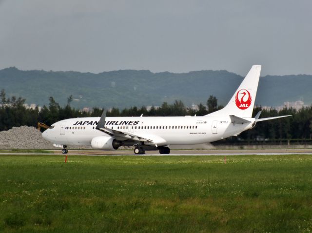 Boeing 737-800 (JA312J)