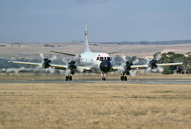 A9293 — - AUSTRALIA - AIR FORCE - LOCKHEED P-3B ORION - REG A9-293 / 93 (CN 185B-5403) - EDINBURGH RAAF BASE ADELAIDE SA. AUSTRALIA - YPED 27/3/1980