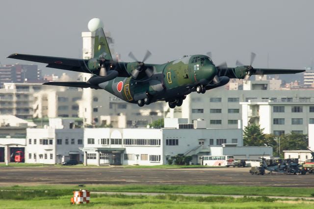 Lockheed C-130 Hercules (85-1079)