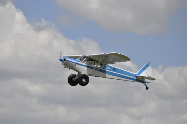 Piper L-21 Super Cub (N81461)