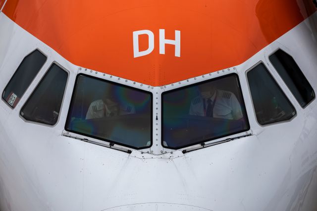 Airbus A319 (G-EZDH)