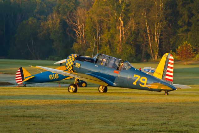 N61063 — - Triple Tree Fly-In 2011