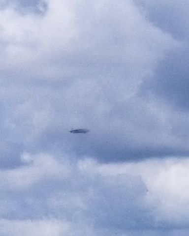 N3A — - Observed in flight at 1313EST, 18AUG21, north of Marion, OH. A/C was en route from KMQJ to 4OH6, traveling at ~53 kts.