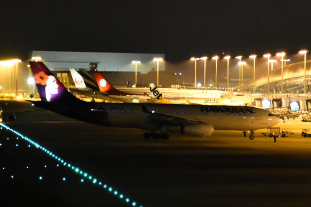 Airbus A330-200 (N392HA) - It is beautiful tail