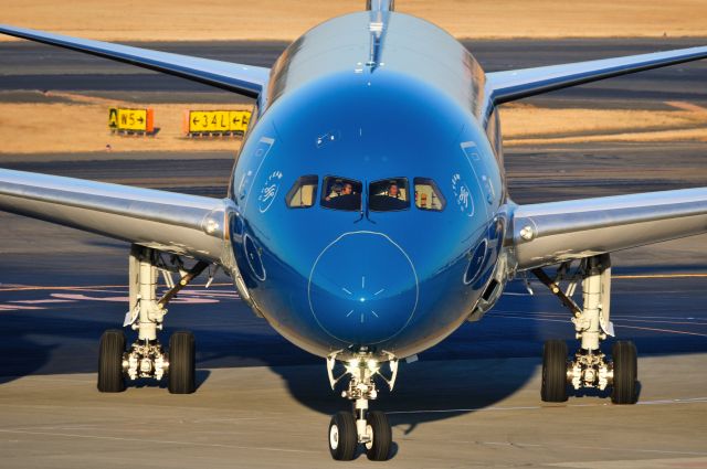 Boeing 787-9 Dreamliner (VN-A866) - 2016/2/11