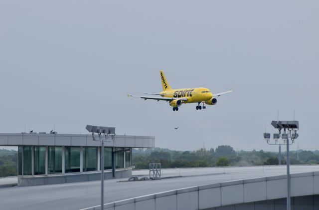 Airbus A319 (N502NK)