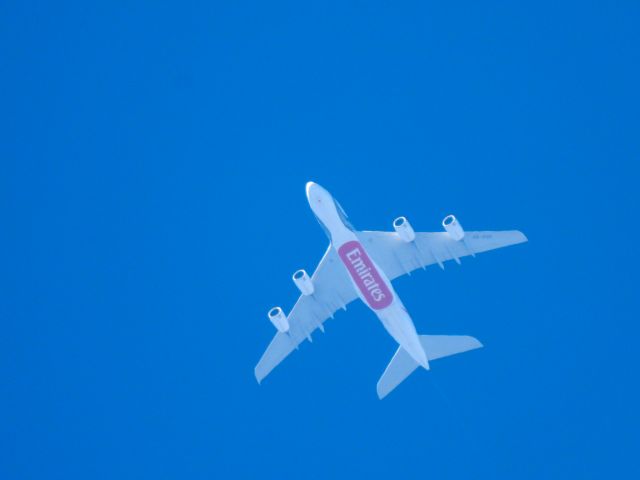 Airbus A380-800 (A6-EUK) - UAE211br /DXB-IAHbr /04/16/23
