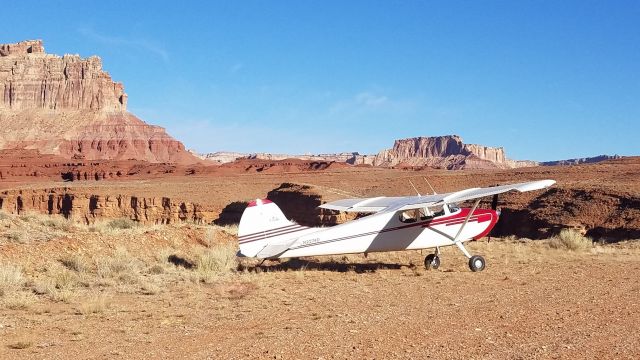 Cessna 170 (N2274D)