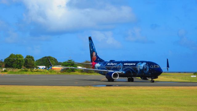 Boeing 737-800 (C-GWSZ)