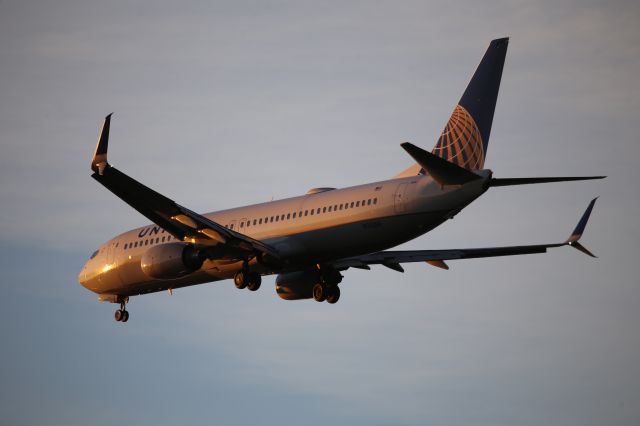 Boeing 737-800 (N33294)