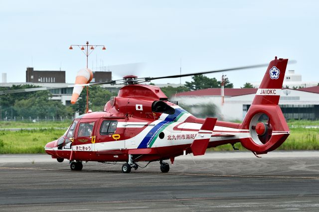 JA10KC — - Eurocopter AS365N3 Dauphin 2br /北九州市消防航空隊(Kitakyushu City Fire Department Air Corps)