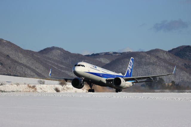 Airbus A321 (JA141A) - December 20th 2020:HKD-HND.