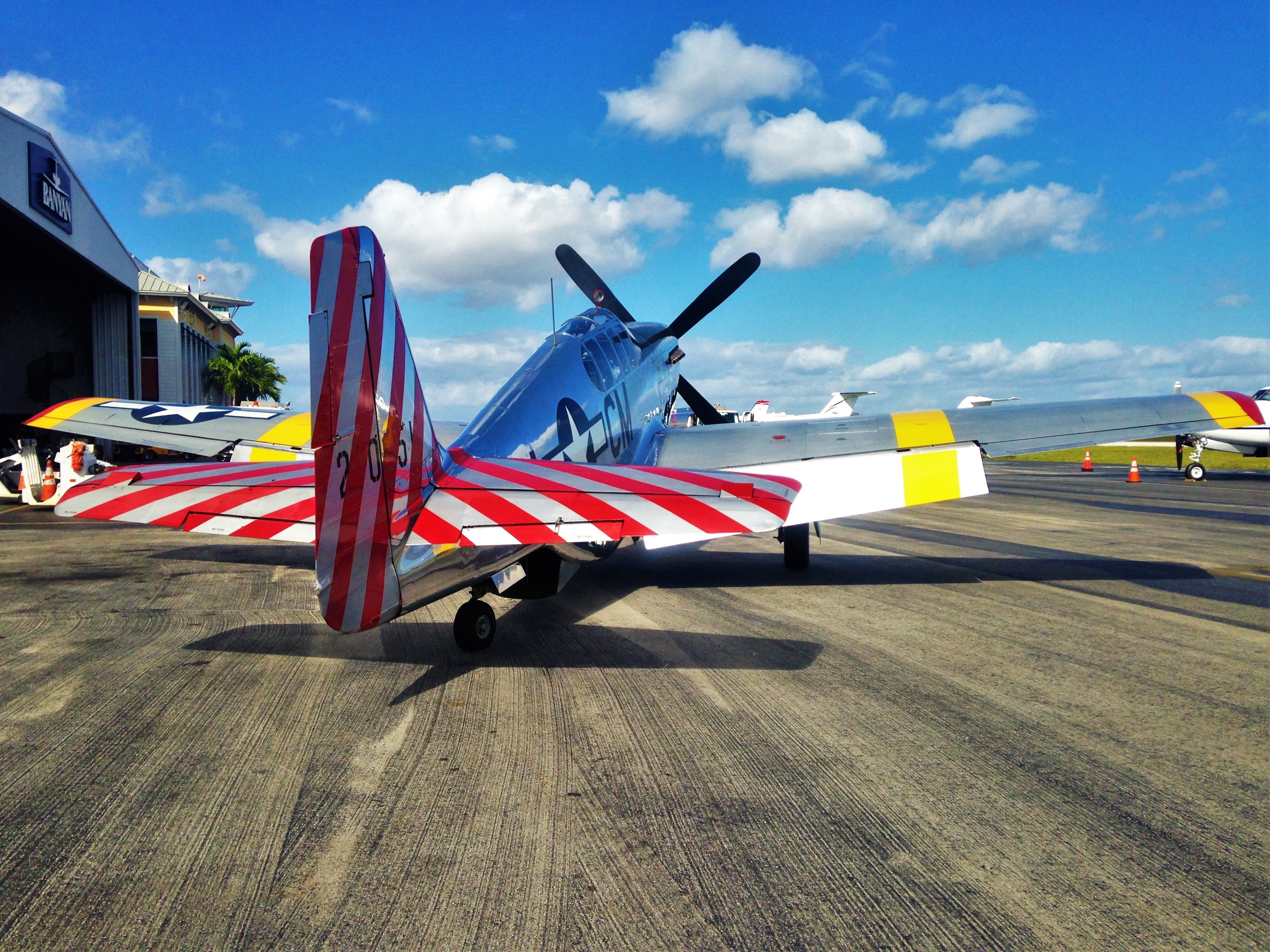 North American P-51 Mustang (NL251MX)