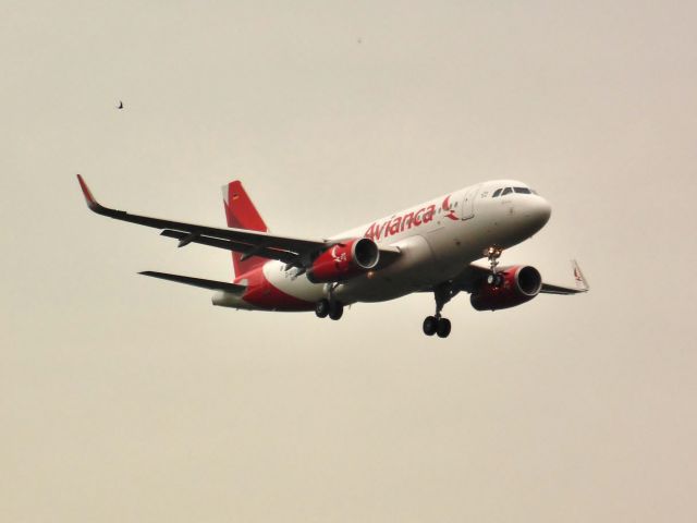 Airbus A319 (D-AVWK)