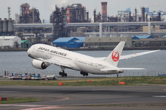 Boeing 787-8 (JA825J) - April 14th 2019:HND-CAN.