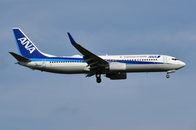 Boeing 737-800 (JA64AN) - 2020-09-29