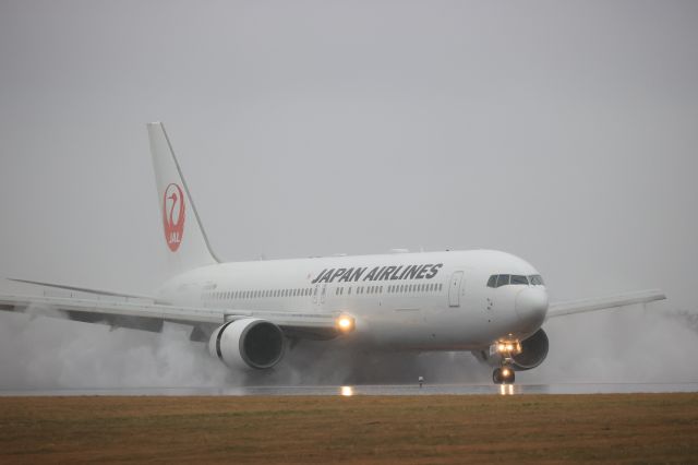 BOEING 767-300 (JA611J) - December 12th 2021:HND-HKD.