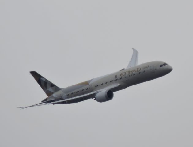 Boeing 787-9 Dreamliner (A6-BLD) - Minutes till landing March 2018.