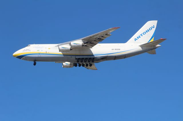 Antonov An-124 Ruslan (UR-82008)