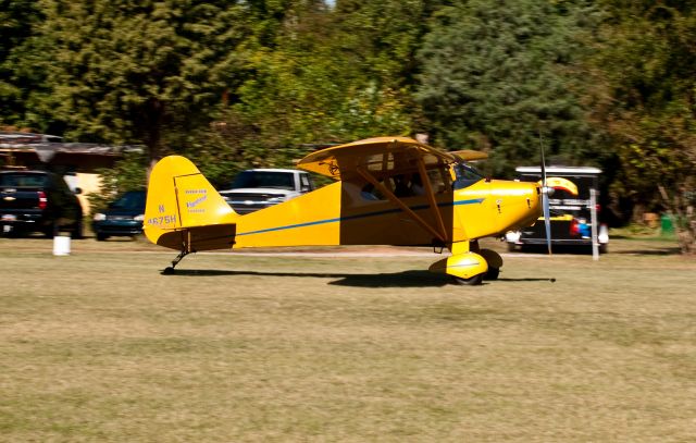 Piper PA-17 Vagabond Trainer (N4675H) - EAA Fly-In Laneys Airport (N92)  10-02-10