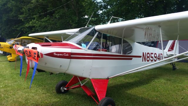 Piper L-21 Super Cub (N8594D)