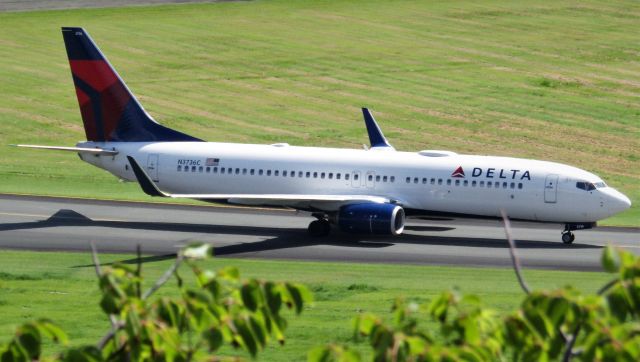 Boeing 737-800 (N3736C)