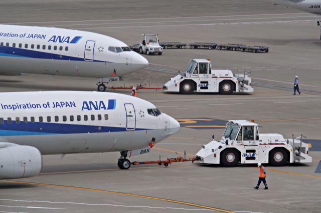 Boeing 737-800 (JA61N)