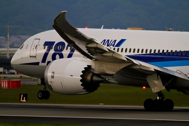 Boeing 787-8 (JA807A) - JAPAN OSAKA ITAMI AIRPORT
