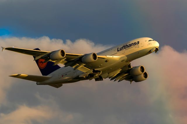 Airbus A380-800 (D-AIMF) - rainbownose