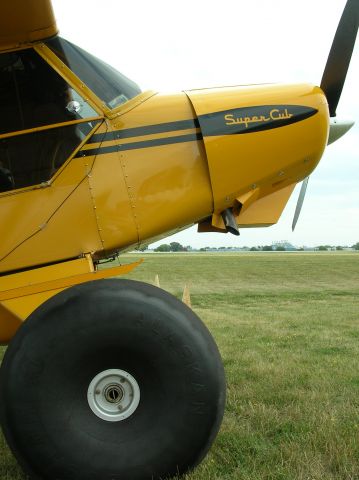 Piper L-21 Super Cub —